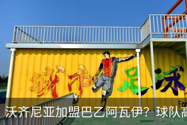 沃齐尼亚加盟巴乙阿瓦伊？球队高层否认：我们对他并不感兴趣