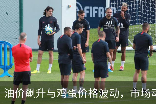 油价飙升与鸡蛋价格波动，市场动态解析