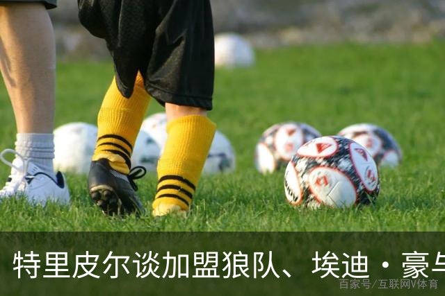 特里皮尔谈加盟狼队、埃迪·豪与梅西的魔力