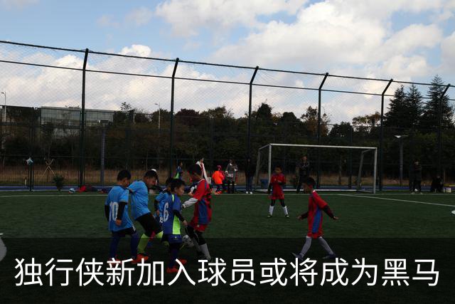 独行侠新加入球员或将成为黑马