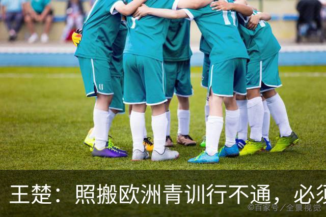 王楚：照搬欧洲青训行不通，必须培养出有自主决策能力的球员