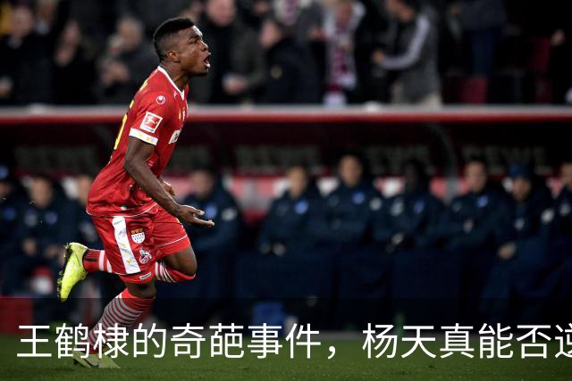 王鹤棣的奇葩事件，杨天真能否逆转局势？