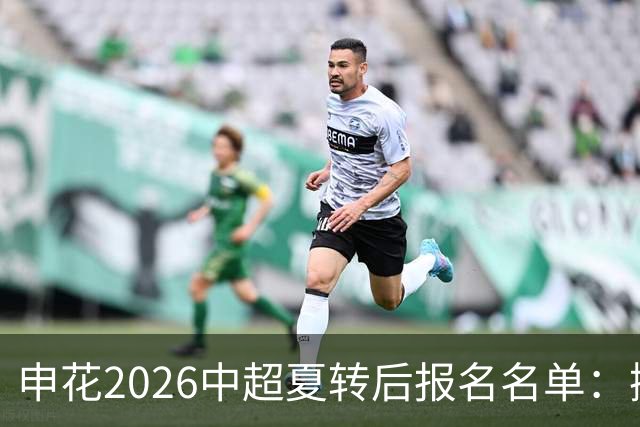 申花2026中超夏转后报名名单：撤下盖伊等4将 补报阿苏埃、李松益