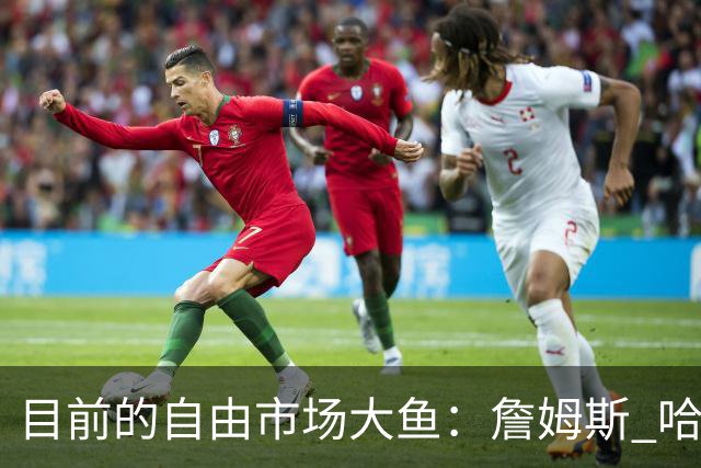 目前的自由市场大鱼：詹姆斯 哈登 追梦 威少领衔