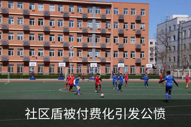 社区盾被付费化引发公愤