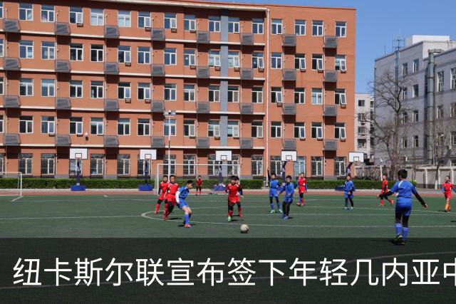 纽卡斯尔联宣布签下年轻几内亚中场并租回青年联合