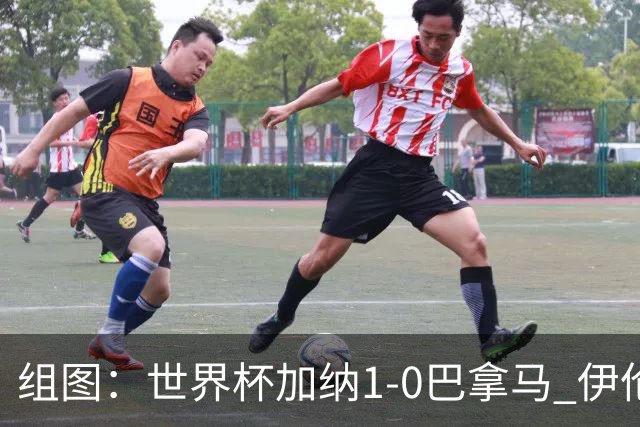 组图：世界杯加纳1-0巴拿马 伊伦基绝杀