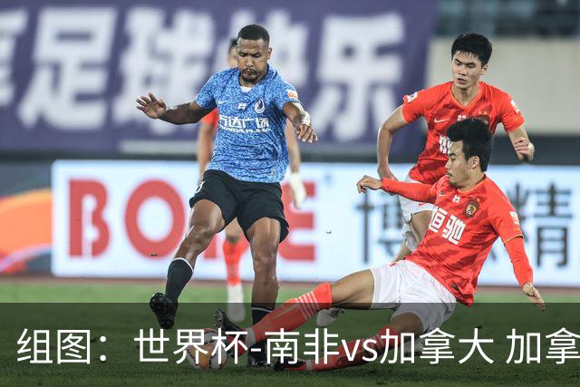组图：世界杯-南非vs加拿大 加拿大8射4正半场暂0-0南非