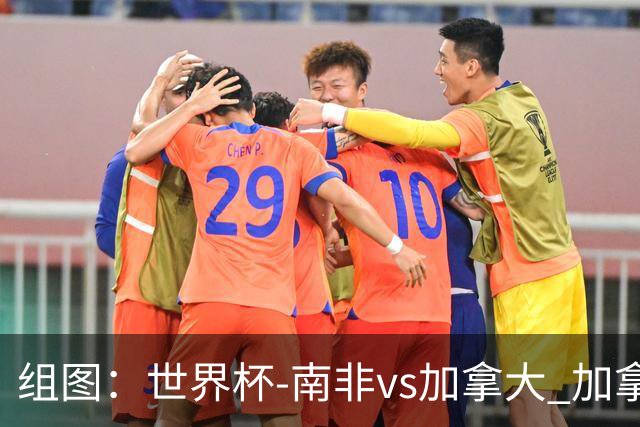 组图：世界杯-南非vs加拿大 加拿大8射4正半场暂0-0南非