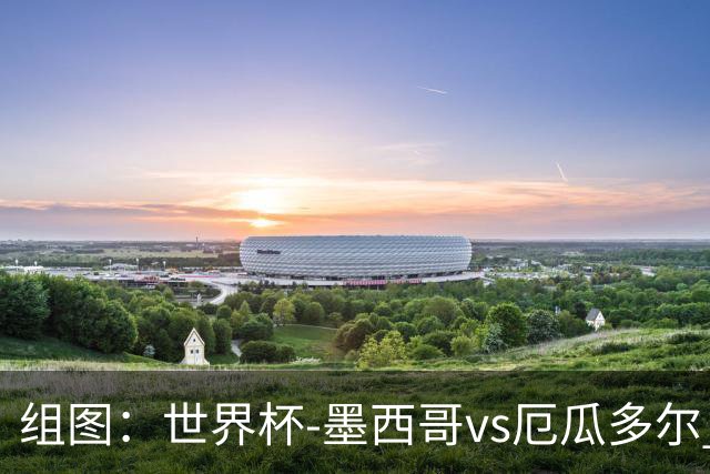 组图：世界杯-墨西哥vs厄瓜多尔 开心庆祝进球