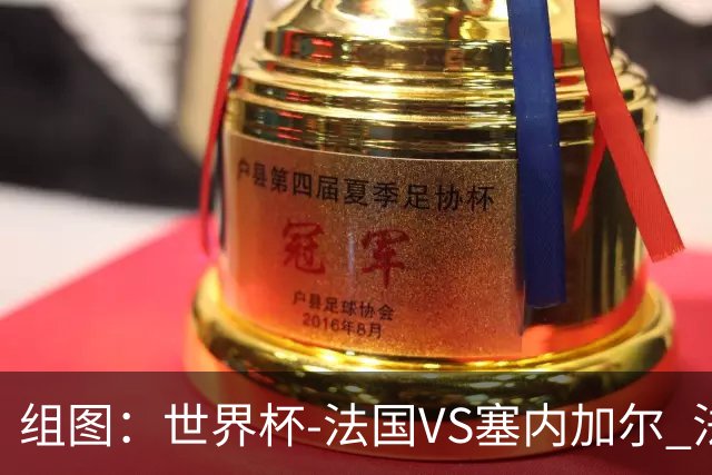 组图：世界杯-法国VS塞内加尔 法国队赛前踩场