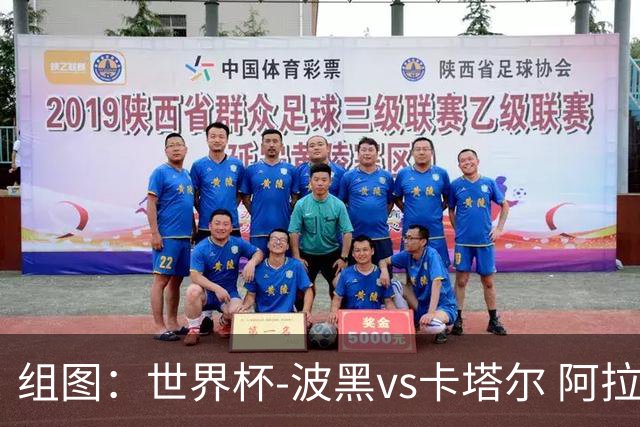 组图：世界杯-波黑vs卡塔尔 阿拉伊贝戈维奇禁区外远射破门