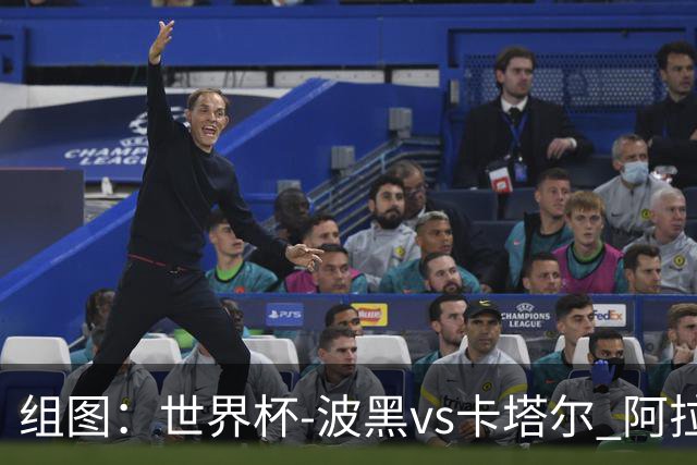 组图：世界杯-波黑vs卡塔尔 阿拉伊贝戈维奇禁区外远射破门