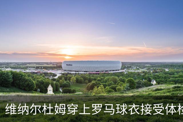 维纳尔杜姆穿上罗马球衣接受体检 今晚就可能官宣