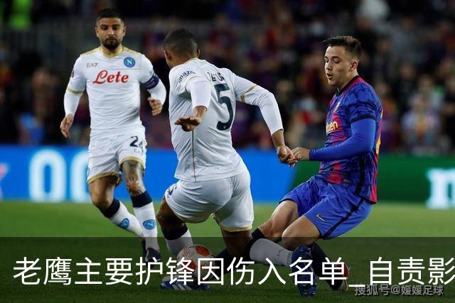 老鹰主要护锋因伤入名单 自责影响球队表现