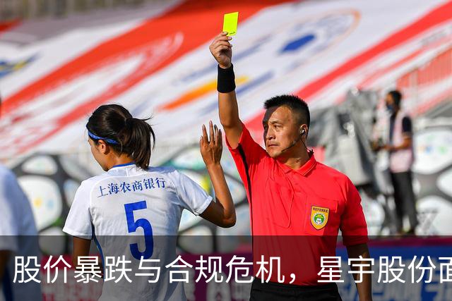 股价暴跌与合规危机，星宇股份面临双重挑战