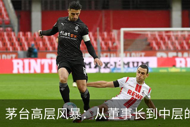 茅台高层风暴：从董事长到中层的反腐连锁