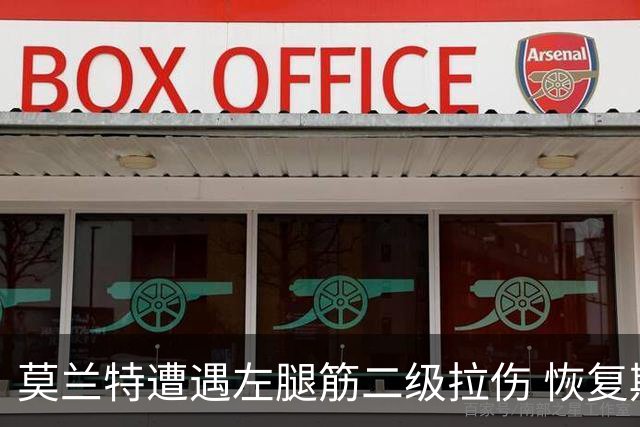 莫兰特遭遇左腿筋二级拉伤 恢复期或达四周