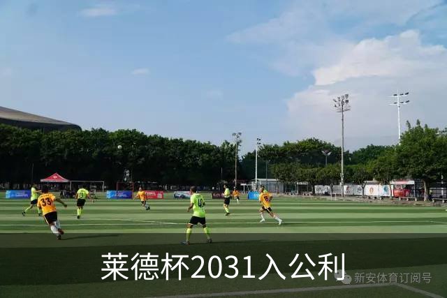 莱德杯2031入公利