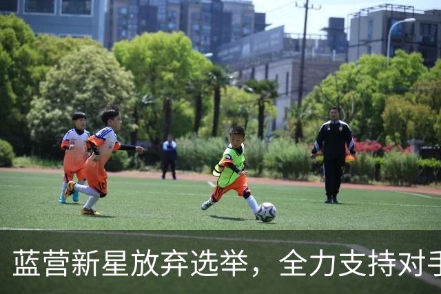 蓝营新星放弃选举，全力支持对手竞选