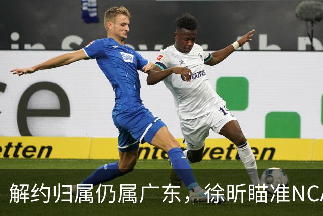 解约归属仍属广东，徐昕瞄准NCAA