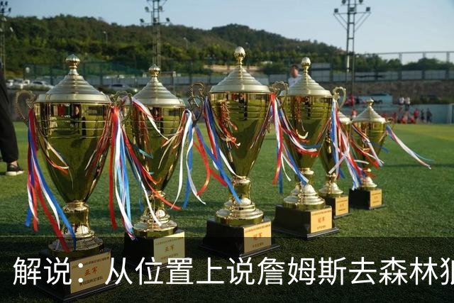 解说：从位置上说詹姆斯去森林狼更合理 去骑士&热火都不太搭