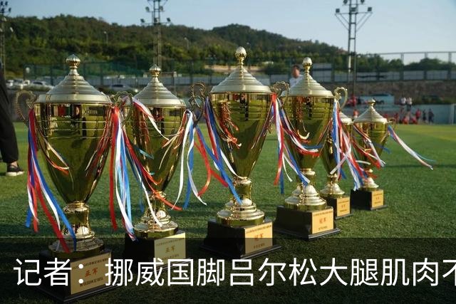 记者：挪威国脚吕尔松大腿肌肉不适将缺战法国，预计淘汰赛复出