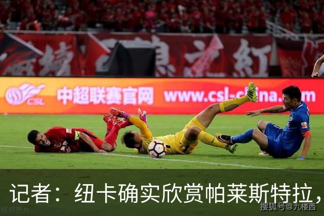 记者：纽卡确实欣赏帕莱斯特拉，但并没有尝试签下球员