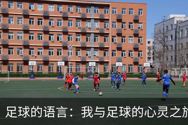 足球的语言：我与足球的心灵之旅