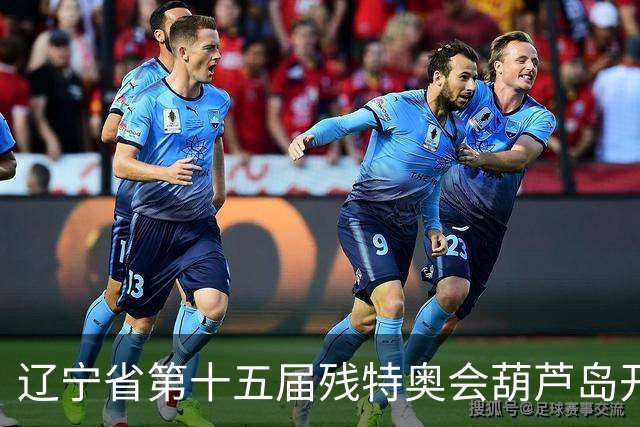 辽宁省第十五届残特奥会葫芦岛开赛 356名健儿参与角逐