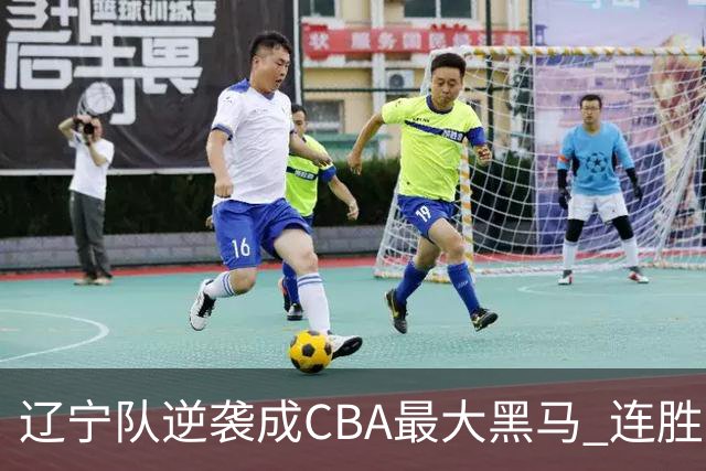辽宁队逆袭成CBA最大黑马 连胜四场展现强大实力