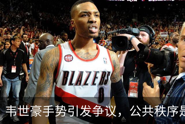 韦世豪手势引发争议，公共秩序是否会受到影响？
