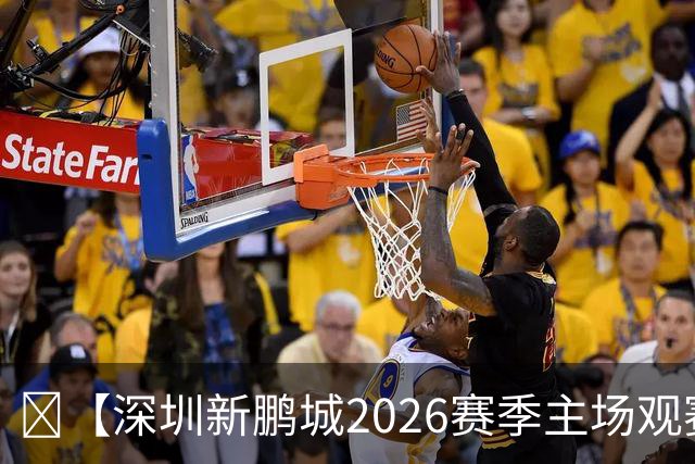 🔥【深圳新鹏城2026赛季主场观赛指南来啦！】🏟️ ——NO.10