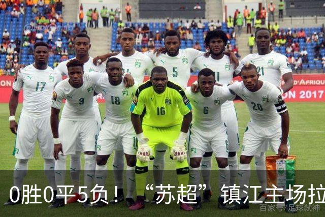 0胜0平5负！“苏超”镇江主场拉出巨型Tifo：一片冰心在玉壶