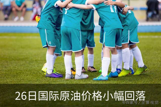26日国际原油价格小幅回落