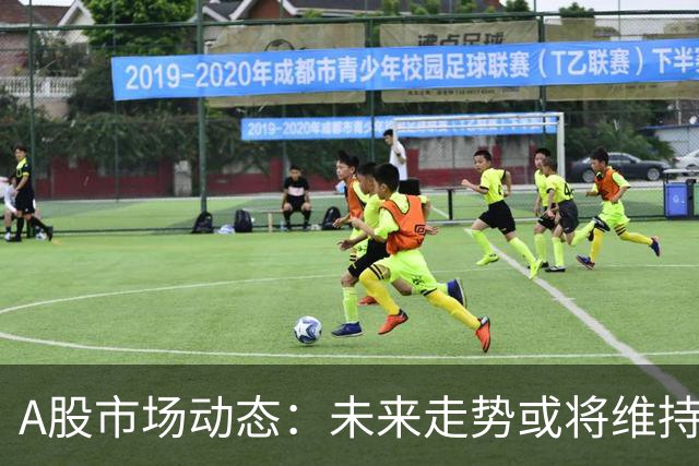 A股市场动态：未来走势或将维持震荡格局