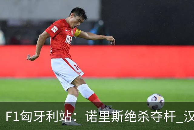 F1匈牙利站：诺里斯绝杀夺杆 汉密尔顿安东内利遭罚